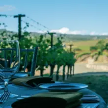 Kelowna Luxury Golf And Wine Tour